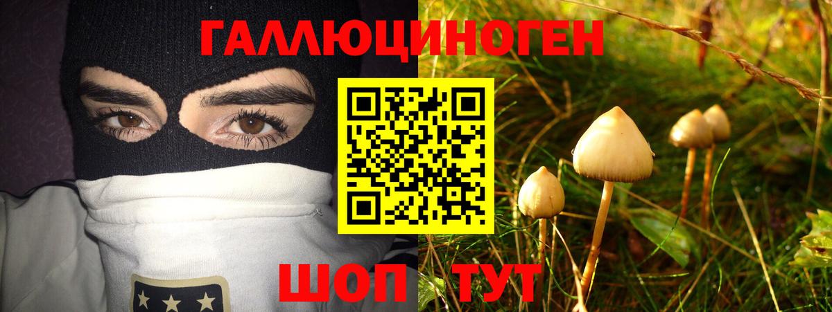 Псилоцибиновые грибы Cubensis Алексин